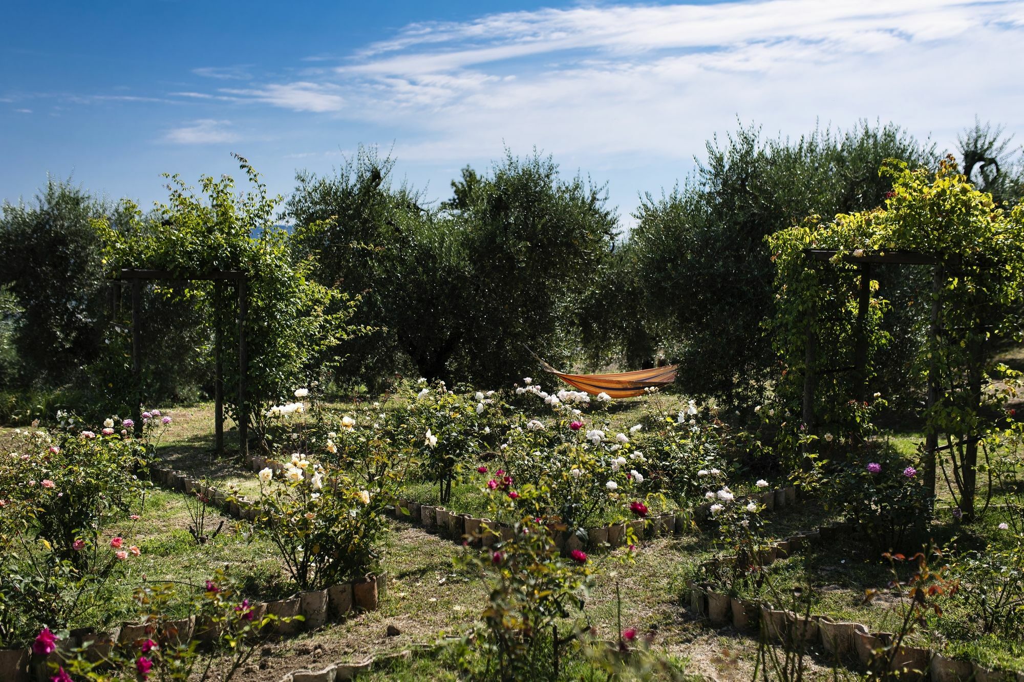 Orvieto Aroma Rooms 2 Zewnętrze zdjęcie